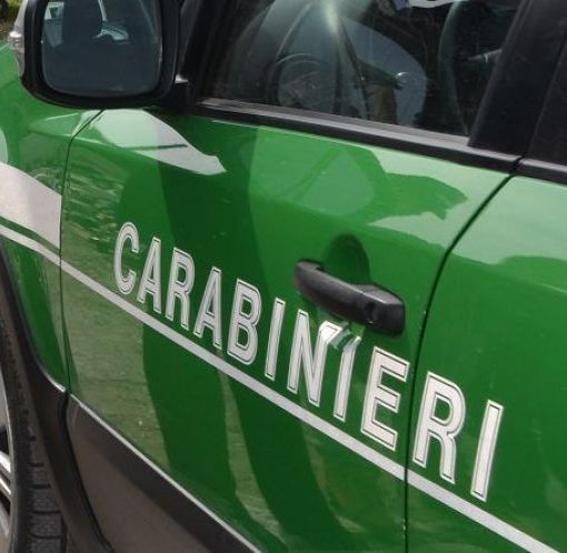 Illecita gestione di rifiuti, sequestrati 18.000 kg di metalli