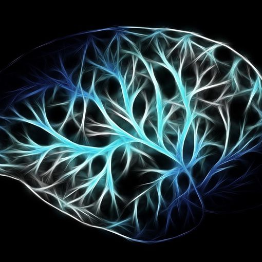 Vigevano: Settimana del Cervello, Quanto la tecnologia ed i suoi strumenti vanno ad influire sulle capacità cognitive?