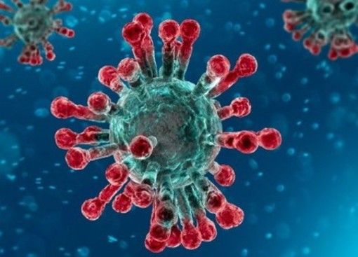 Ecco chi deve fare il tampone: il Ministero lo chiarisce con una circolare