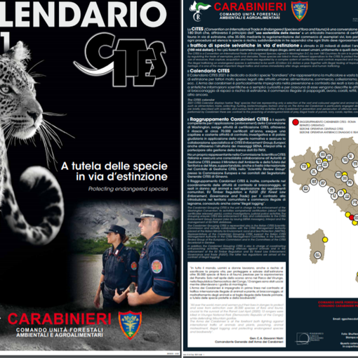 Gli animali rari e selvatici protagonisti del Calendario CITES 2020