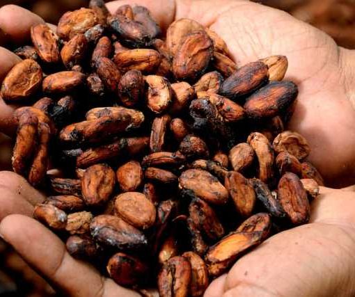 Il mio mondo #ecobio- Pasqua, cioccolato e dintorni, di Cristina Garavaglia