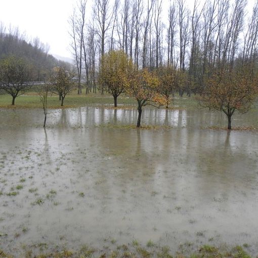 Maltempo, Lombardia: sos campi allagati  con -50% semine e piantine affogate