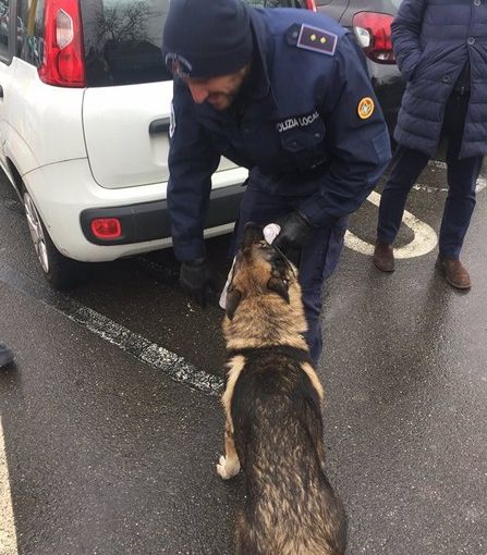 foto di repertorio