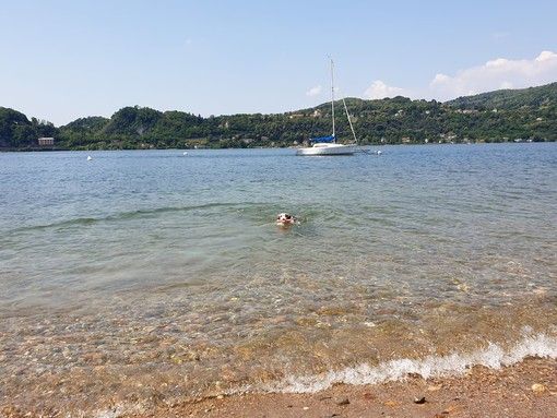 Forse è questa l'unica soluzione: chi può, dovrebbe farsi un bagno come Spritz