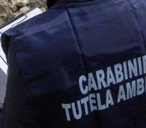Operazione NOE. Traffico illecito di rifiuti e realizzazione di discariche abusive anche in Lombardia