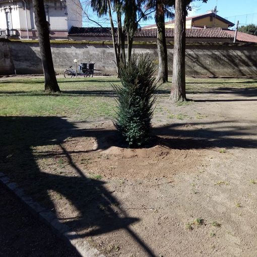 Gropello, il parco di Villa Cairoli messo in sicurezza e sistemato dopo la tempesta di vento di una decina di giorni fa