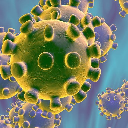 Mortara, Coronavirus: novità nel DPCM. Il sindaco Facchinotti le spiega in conferenza stampa