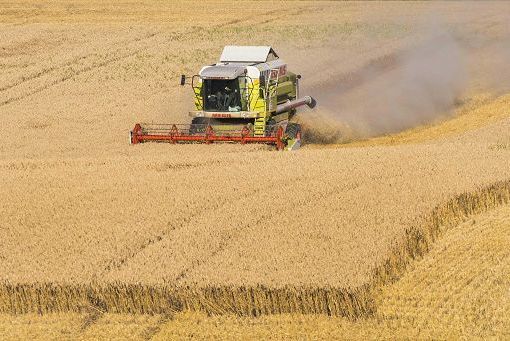 Imprese, ok credito agevolato per agricoltori. Snellire procedure contro burocrazia inutile