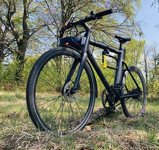 Bici elettrica troppo costosa? 5 motivi per comprarla subito