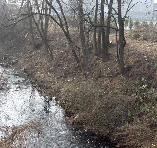 foto generica di repertorio