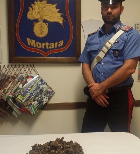 Palestro: trovato con 375 grammi di marijuana, denunciato un 51 enne
