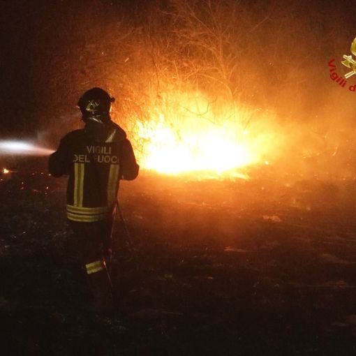 Mede: vasto incendio in un canneto domato dai Vigili del fuoco