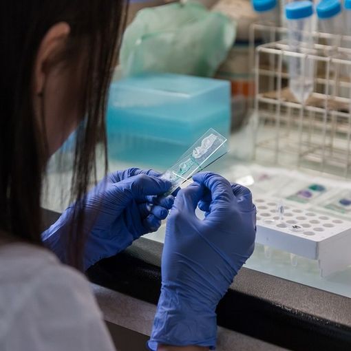 Coronavirus, in Italia oggi 15.204 nuovi positivi e 467 vittime. Il Veneto la regione più colpita