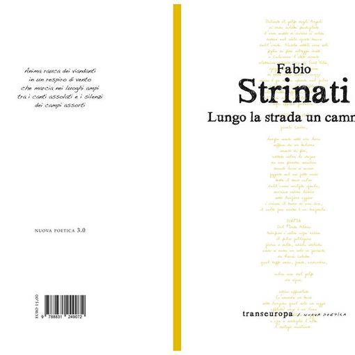 Vigevano, nel nuovo libro di Fabio Strinati: &quot;Lungo la strada un cammino&quot;, una poesia dedicata alla città ducale