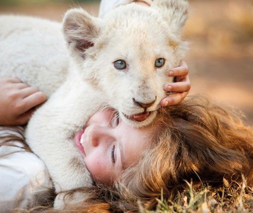 La recensione: Mia e il leone bianco