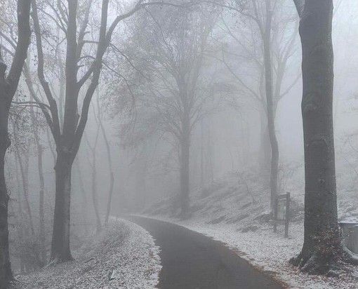 FOTO. Atmosfere magiche nel Varesotto. La prima neve della stagione imbianca il Campo dei Fiori