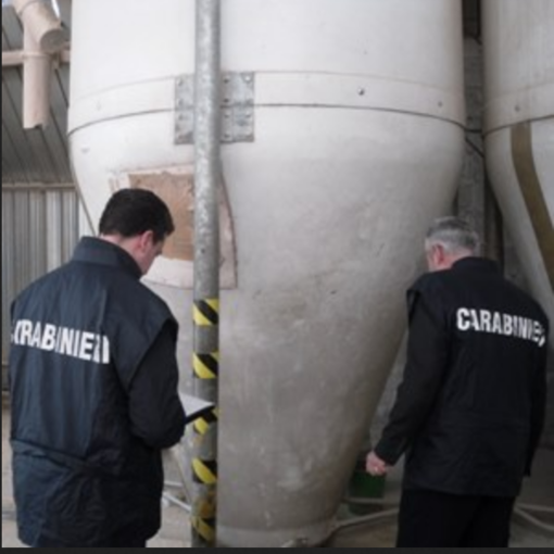 Topo morto nel silos del risone
