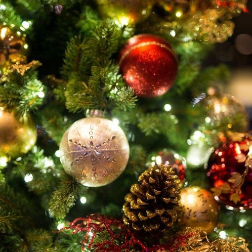 Poesia di Natale di Francesco Lena