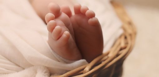 Voghera si illumina di viola per la Giornata Mondiale della Prematurità