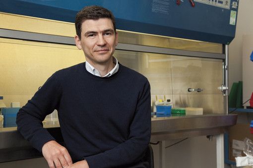 Dodici domande sul Coronavirus. Ecco le risposte di uno dei più grandi immunologi al mondo