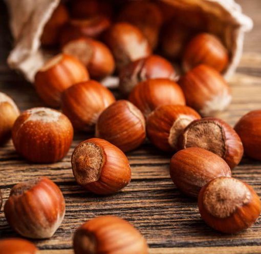 In Lombardia 294 aziende agricole coltivano la nocciola, la provincia di Pavia è leader del settore