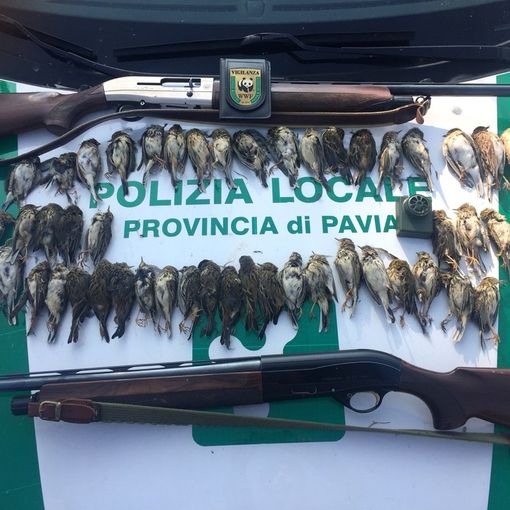 Foto e video tratti da wwf.it