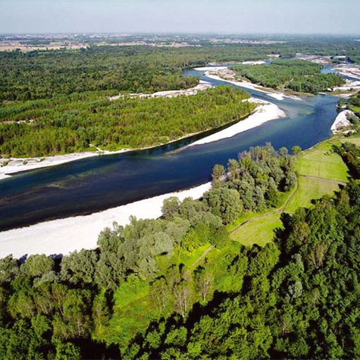 Il Ticino, fiume generoso.. Ma non per tutti! Di Giuseppe Casarini