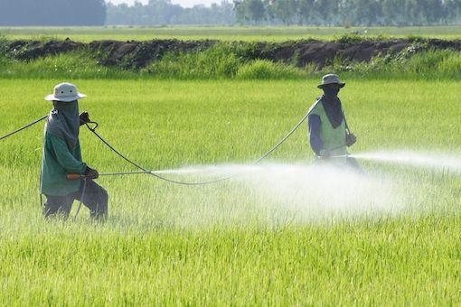 Pesticidi nelle acque: Legambiente lancia l’allarme