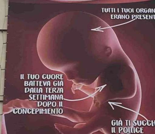Il manifesto anti aborto rimosso a Roma rispunta nel Biellese