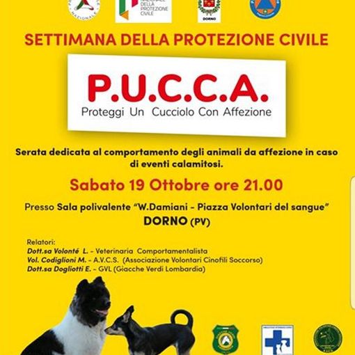 Dorno, serata dedicata agli animali di affezione nei momenti delle calamità naturali