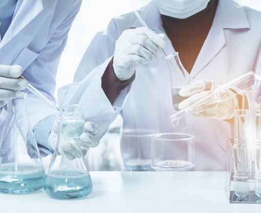 Covid-19: al San Matteo pazienti trattati con cellule mesenchimali