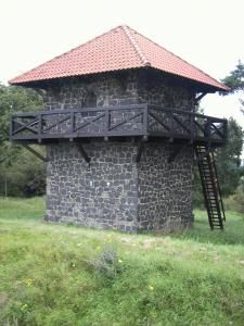 BORGO SAN SIRO - la storia- FRAZIONE TORAZZA - l'origine del suo nome -