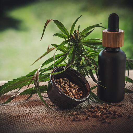 Cosa potrebbe significare la legalizzazione della cannabis per il mercato del lavoro in Italia