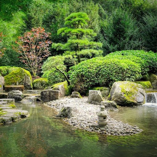Come creare un'oasi tranquilla nel proprio giardino