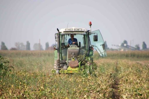 Coronavirus: AAA lavoro campi cercasi, apre sportello on line