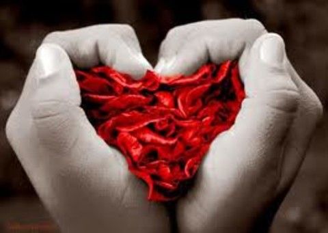 Pavia: muore dopo circa due mesi dal trapianto di cuore e dona gli organi