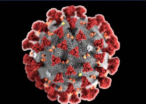 Coronavirus, 70 persone in quarantena nella provincia di Novara