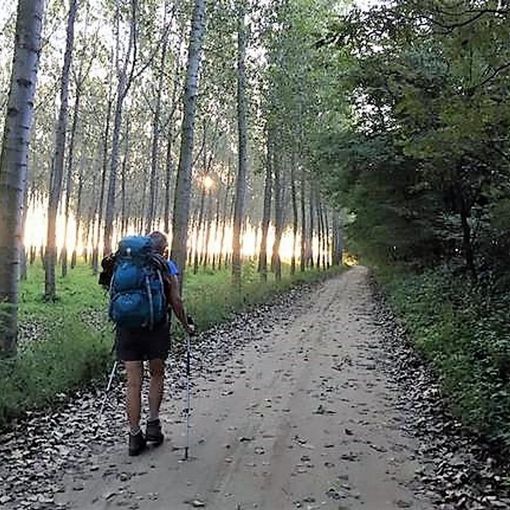 Garlasco: l'assessore al turismo Alessandro Maffei lancia un appello alla Regione: “Aiutateci a mantenere in vita la via Francigena”