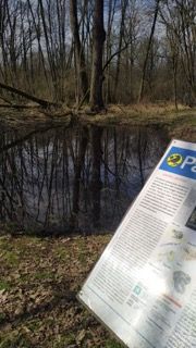 Vigevano: gita virtuale alle medie Robecchi