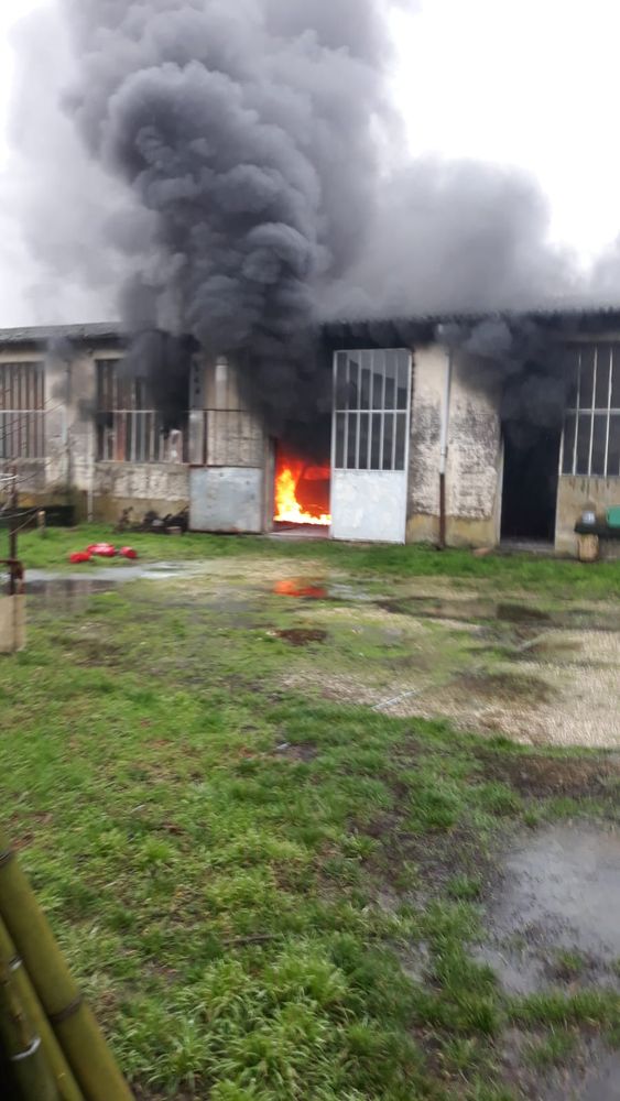 Ferrera: auto in fiamme sulla statale Sannazzaro-Torre Beretti, intervegono i Vigili del fuoco