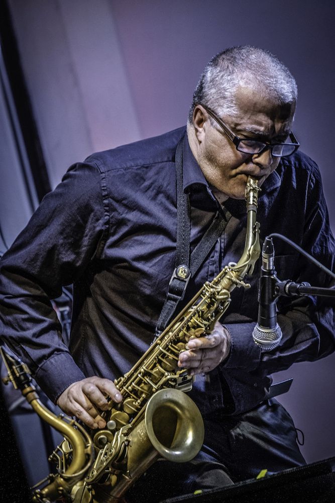 Parata di stelle per la sesta edizione di “A Vigevano Jazz” Parata di stelle per la sesta edizione di “A Vigevano Jazz”