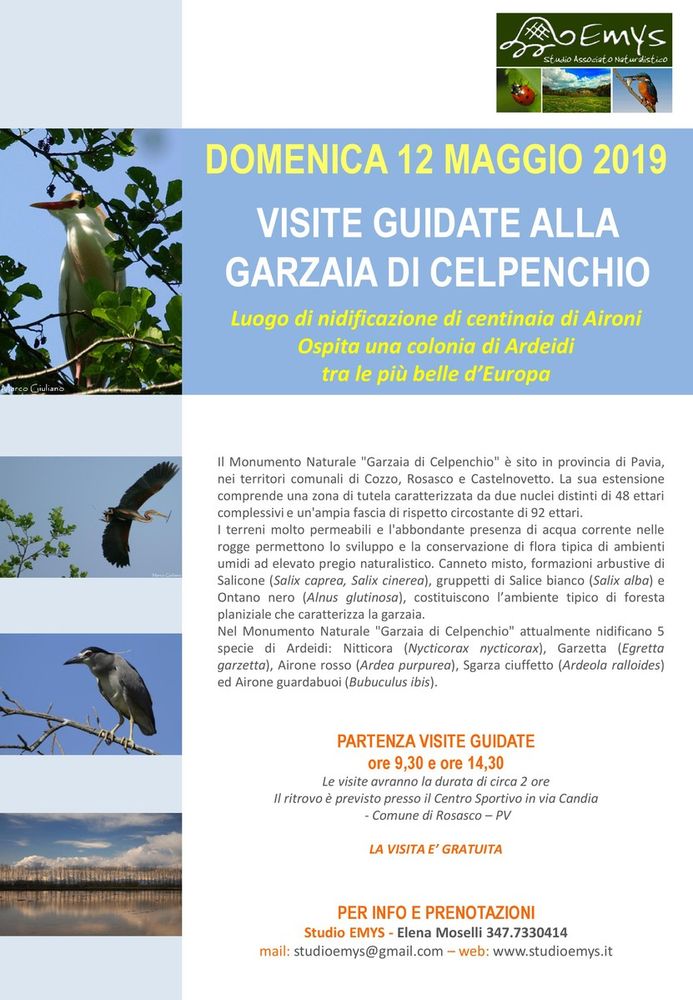- FOTOEVENTO - a Rosasco domenica 12 maggio, visite guidate alla Garzaia di Celpenchio