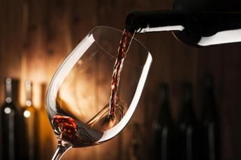Ismea-Rrn, export vinicolo italiano conferma leadership mondiale