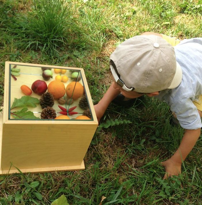 Orti botanici della Lombardia: aule educative all’aperto