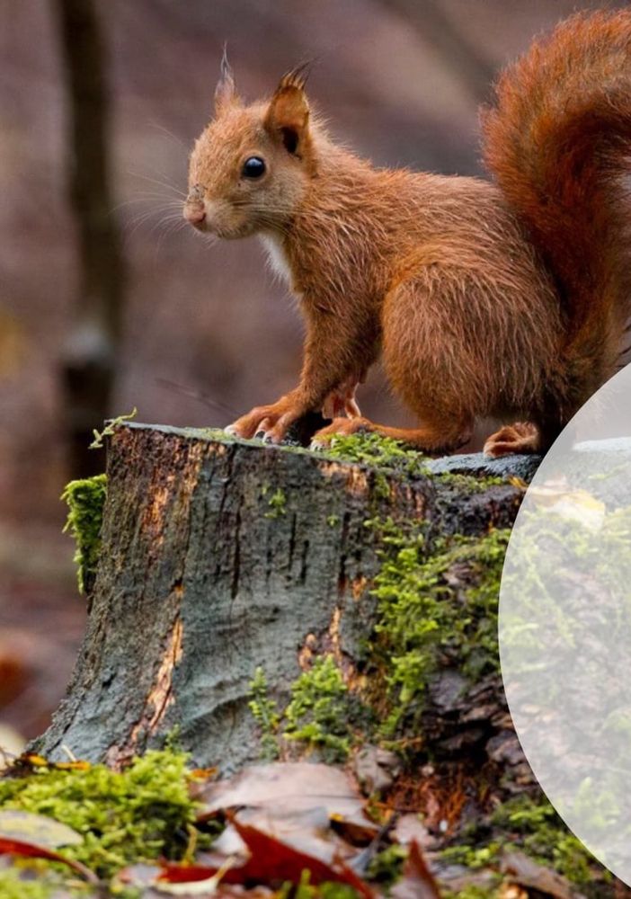 57 fotografi, 18 classi: è un successo il concorso fotografico indetto dal parco del Ticino