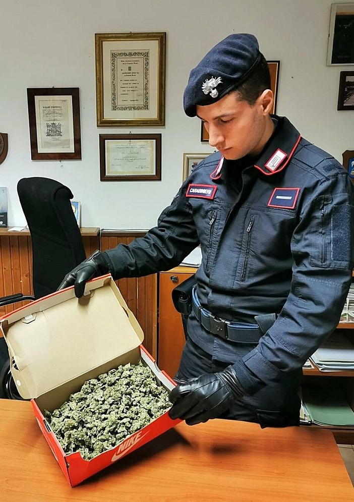 Casorate Primo: trovato in auto con 3 etti di marijuana, denunciato un 23enne