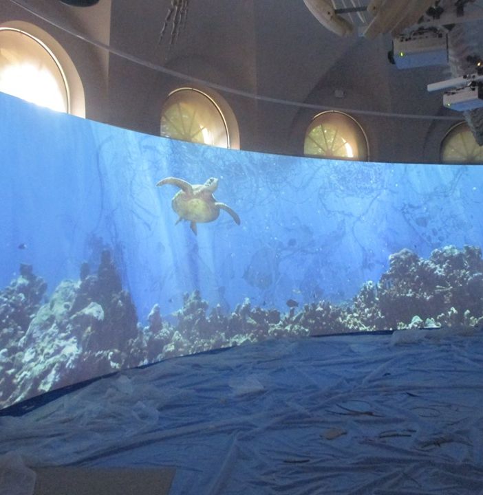 Pavia presenta a Palazzo Botta Adorno: Kosmos, un nuovo Museo di Storia Naturale