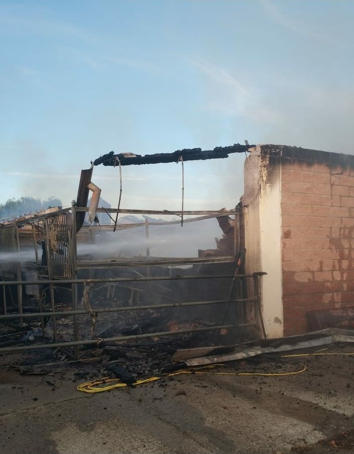 Pavese: incendio in un maneggio a Sant'Alessio con Vialone, trovati deceduti 11 cavalli