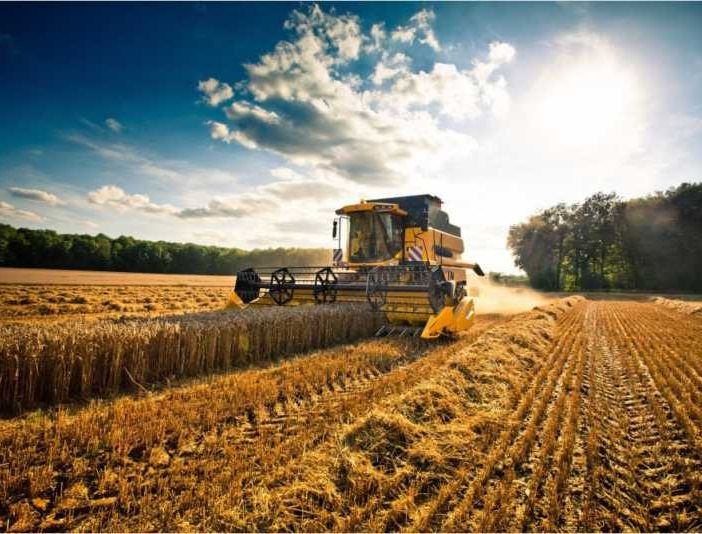 Anticipo Pac, Agricoltura. Rolfi: 160 milioni di euro a oltre 15 mila aziende agricole lombarde