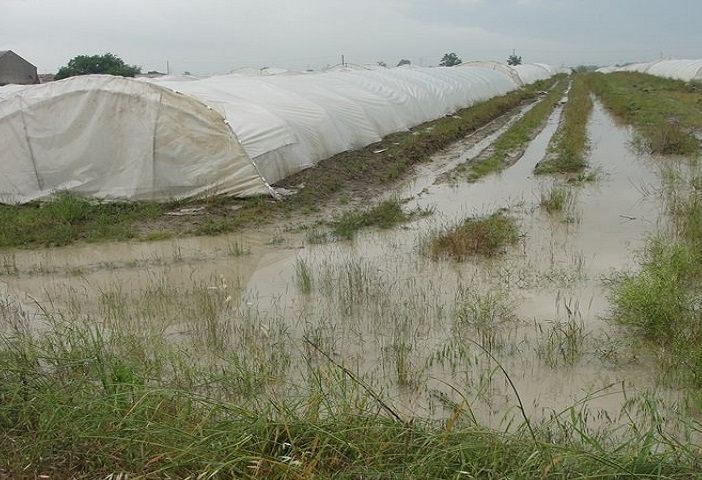 Clima: Coldiretti, 14 mld di danni all’agricoltura in ultimo decennio